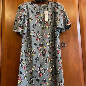 Ann Taylor Floral Shift Dress